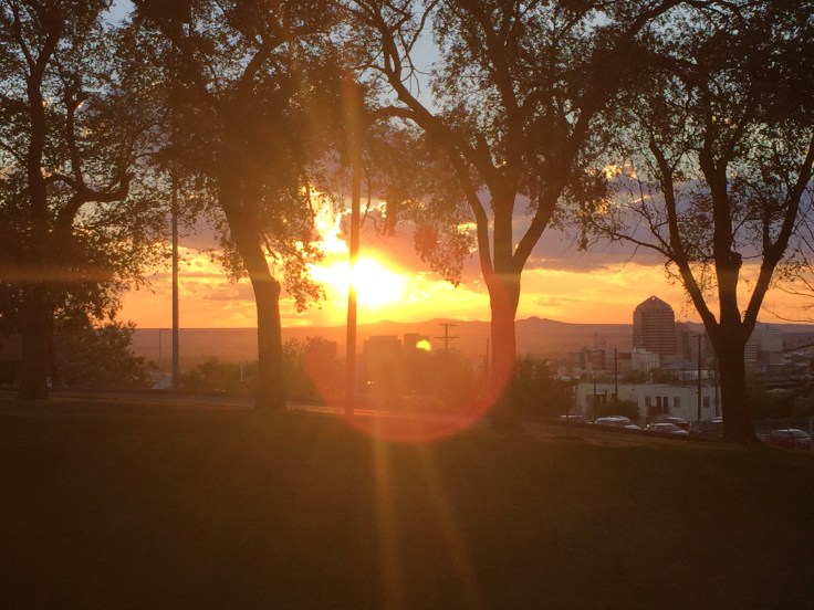 Little Miss Hobbs, pt. II.JPG